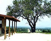 Maner Hacienda